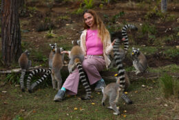 Madagascar (18/72)